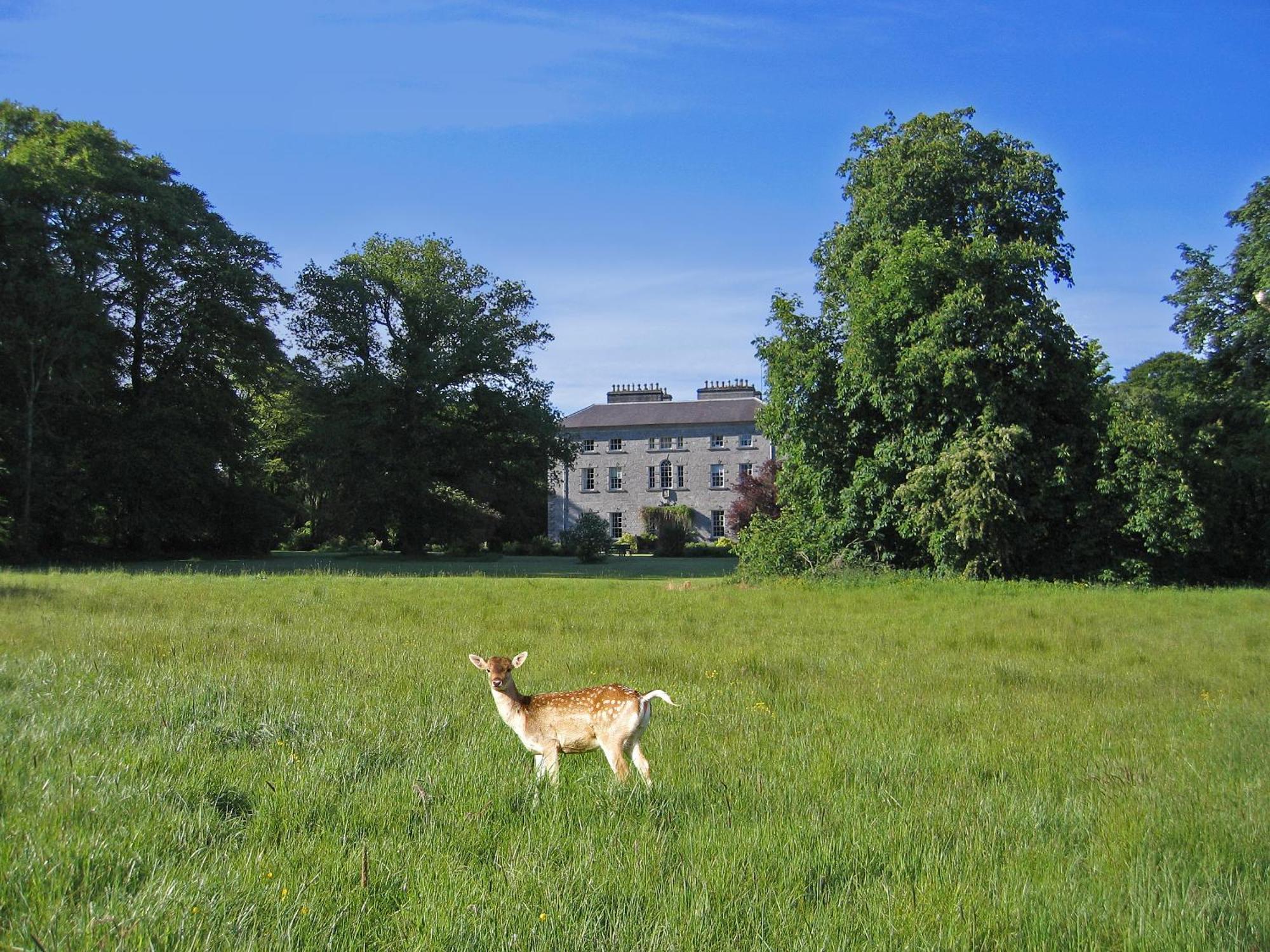 Hotel Coopershill House Riverstown  Exterior foto